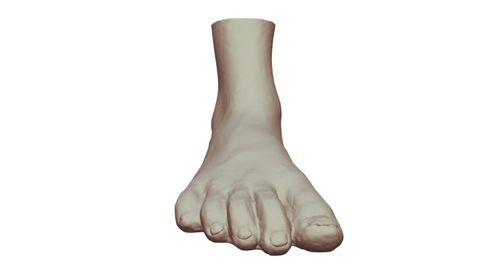 Foot02 3D Model
