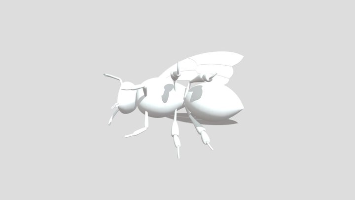 Bee 3D Model