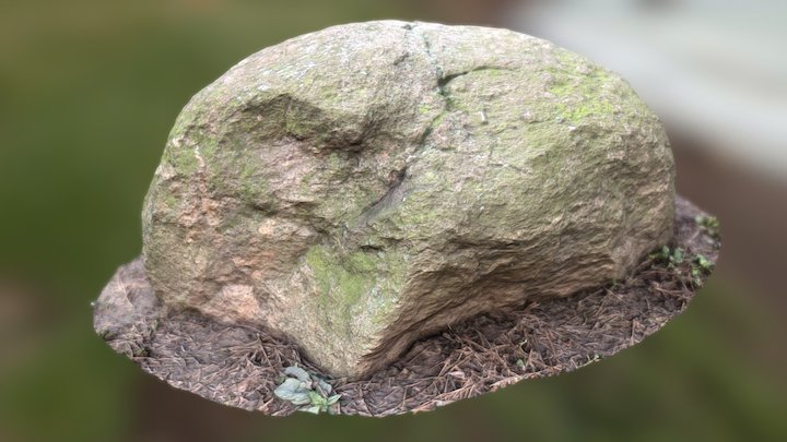 Mossy wet stone 3 – Modèle 3D gratuit STL