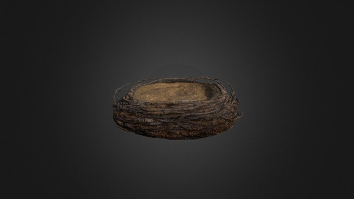 Plasma Dragon Nest 3D Model