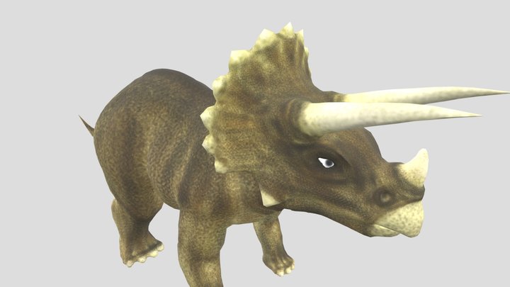 Triceratops (animated)