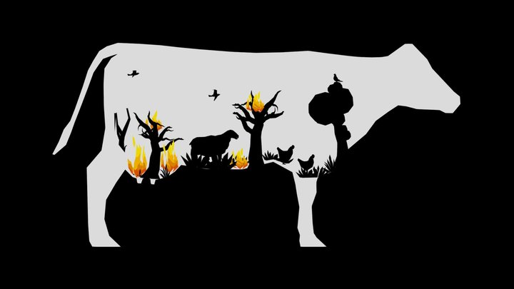 Forest Fires Awareness 3D Model