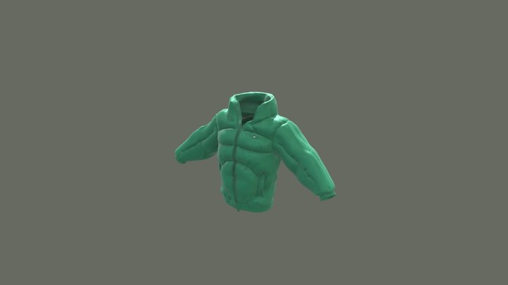 Green Puffer Jacket Project 3D Model
