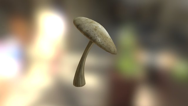 Mushroom Bent 3D Model