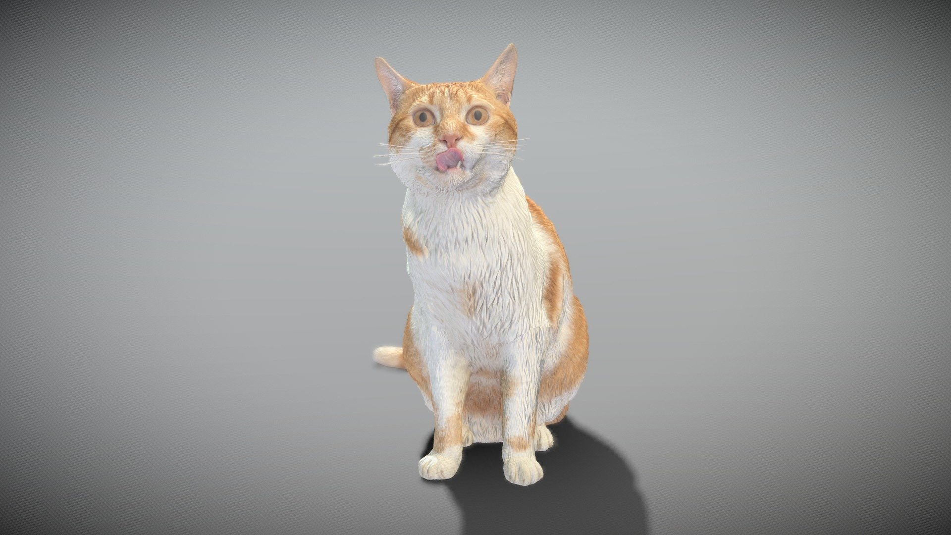 Red cat 21 - Buy Royalty Free 3D model by deep3dstudio [05cb1e4 ...