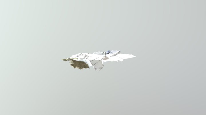 ICC 8 3D Model