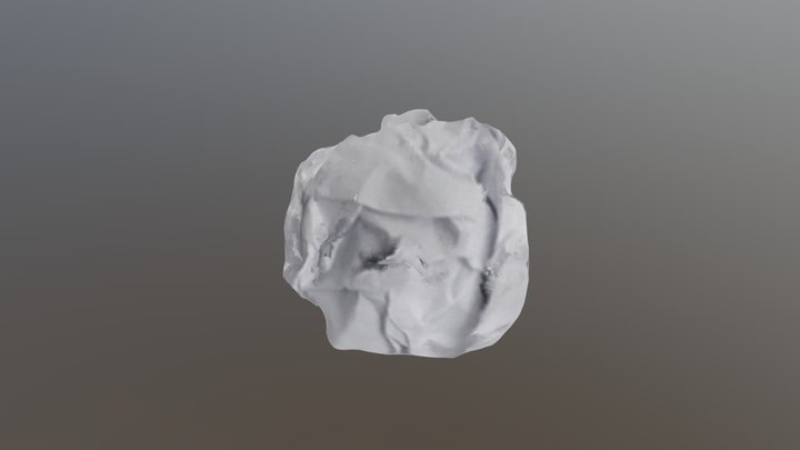 Paper 3D Model