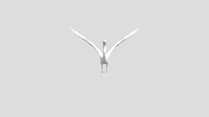 Egret in Flight 3D Model