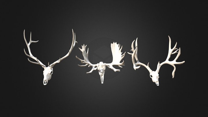 Free Models 3D Model
