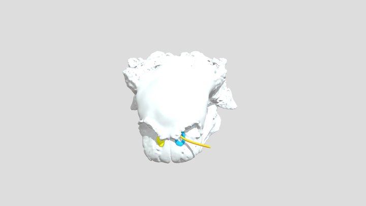 Euoplocephalus_Nasal_Printable5.zip 3D Model
