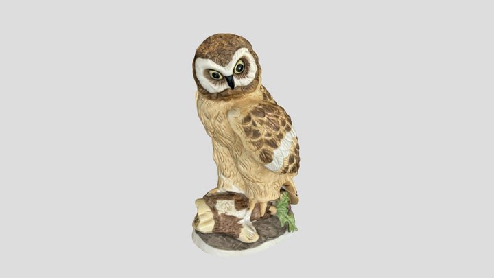 Big Eyes Owl 3D Model