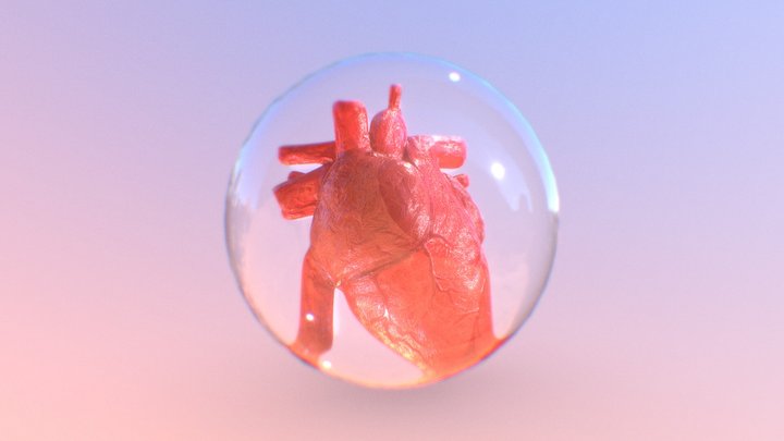 Heart in Real 3D Model