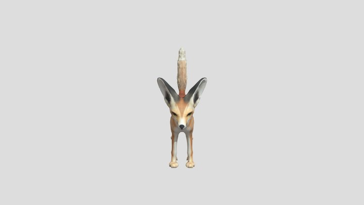 Rüppel's Fox