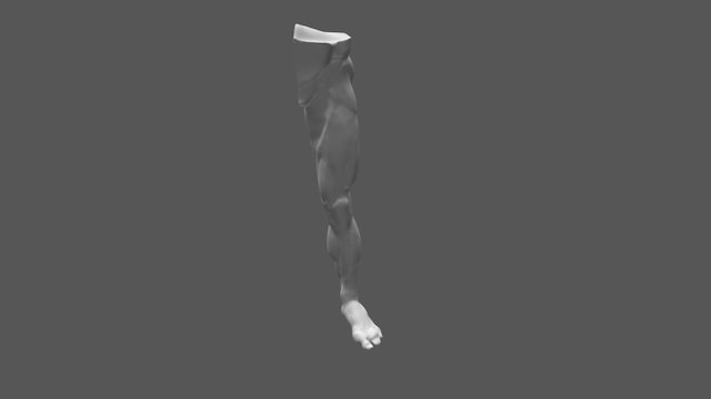 Leg Dec 2016 3D Model