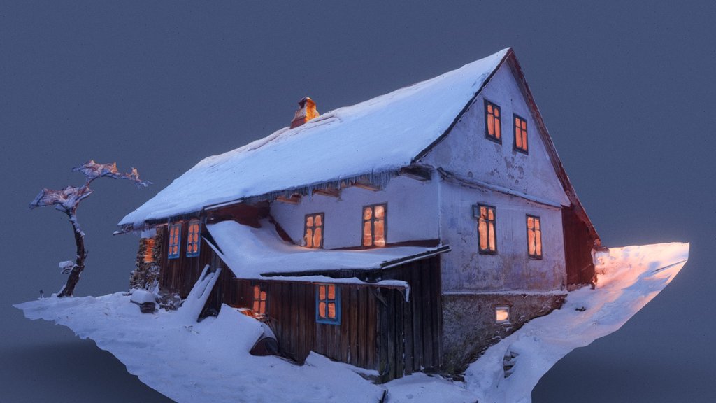 Winter House