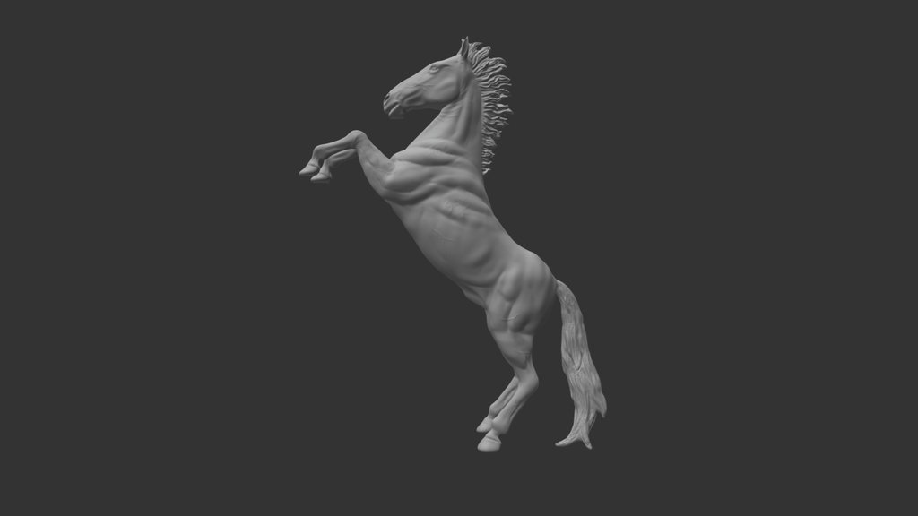 Animal anatomy A 3D model collection by Bendik Solbakken