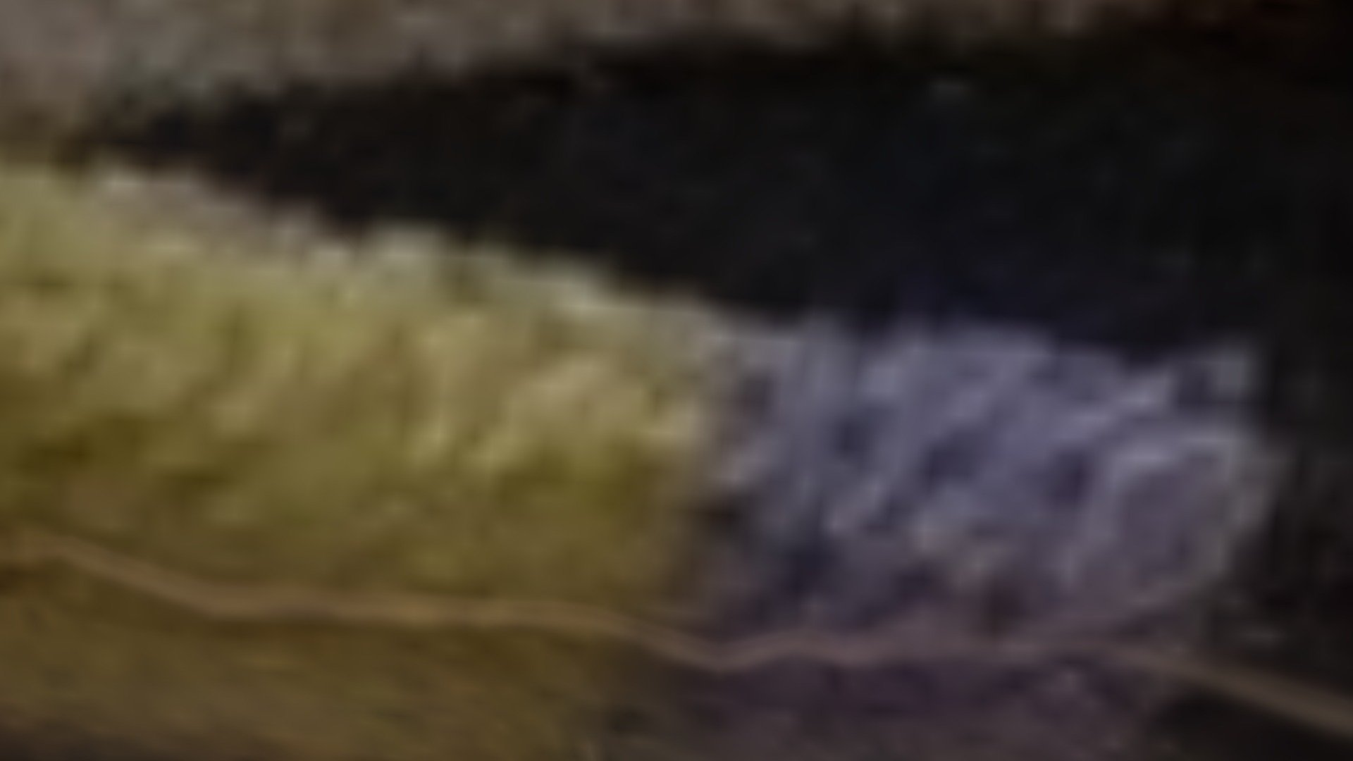 Pedropin1