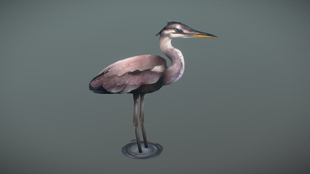bird
