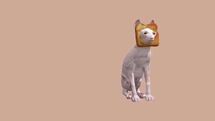 Sphynx - Gato pãozinho 3D Model