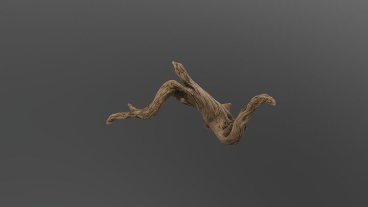 Drift Wood 3D Model