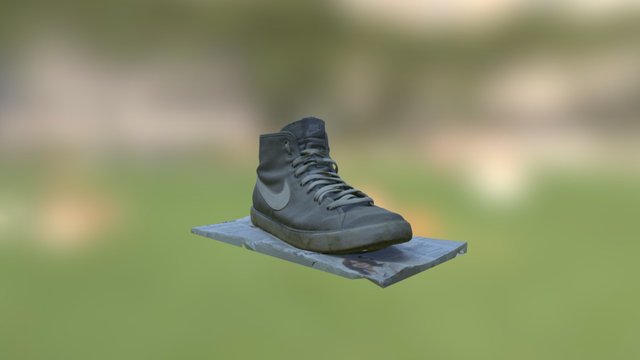 Sneaker in RealityCapture 3D Model