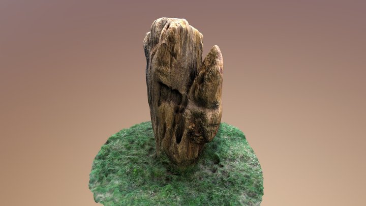 Decorate Rock on backyard garden 3D Model