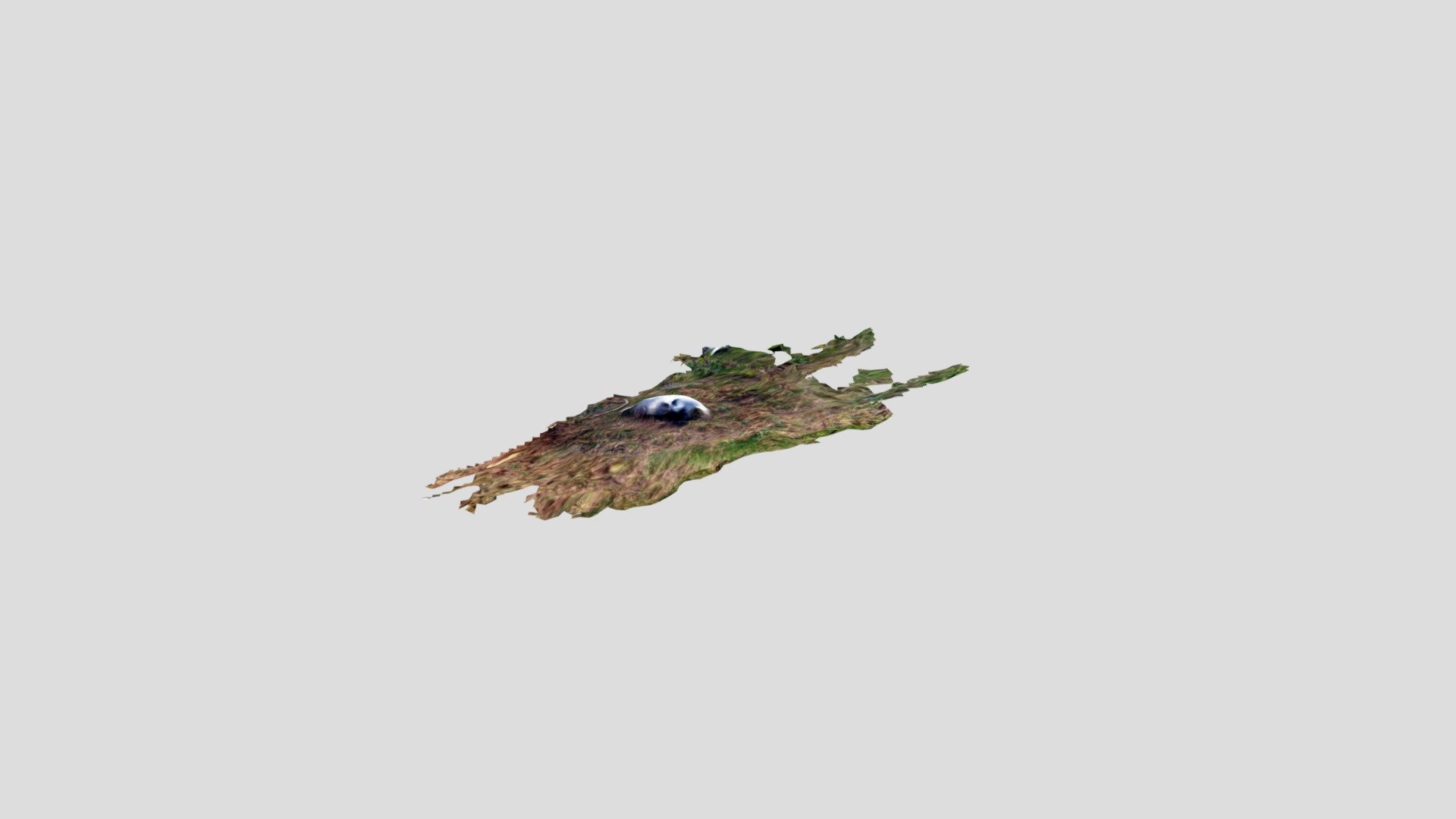 Osso Cavalo — Sketchfab embed 3D viewer
