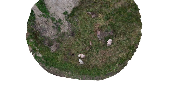 Blådjuperöd - innan rekonstruktion 3D Model