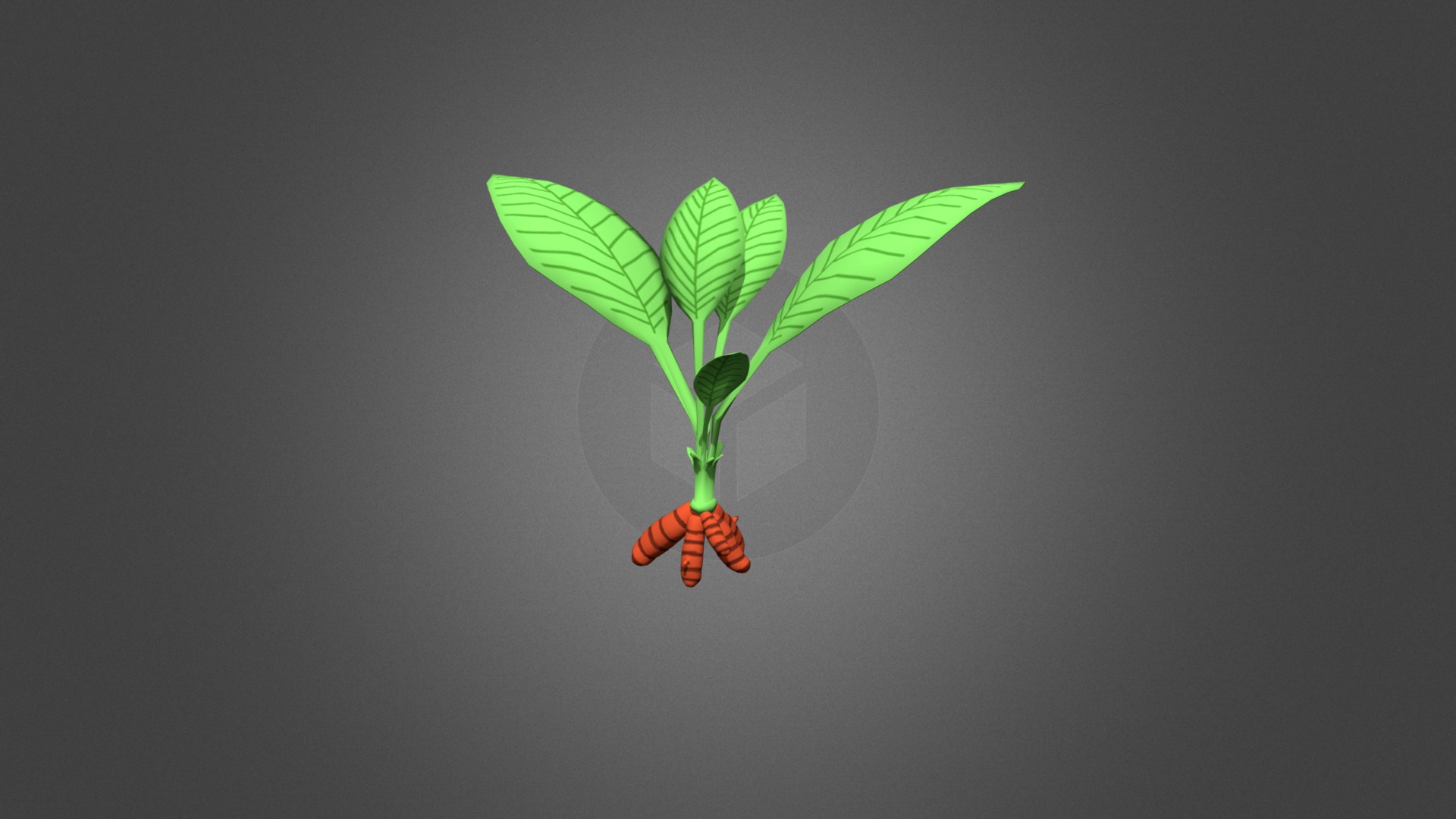 3D model Turmeric – Curcuma longa - This is a 3D model of the Turmeric - Curcuma longa. The 3D model is about a green insect with wings.