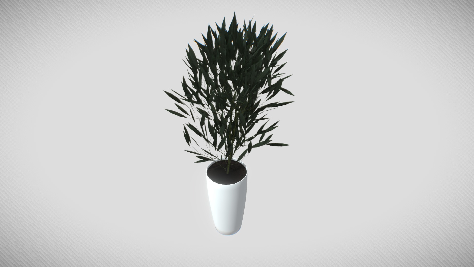 3D model Ficus plant - This is a 3D model of the Ficus plant. The 3D model is about a potted plant in a white vase.