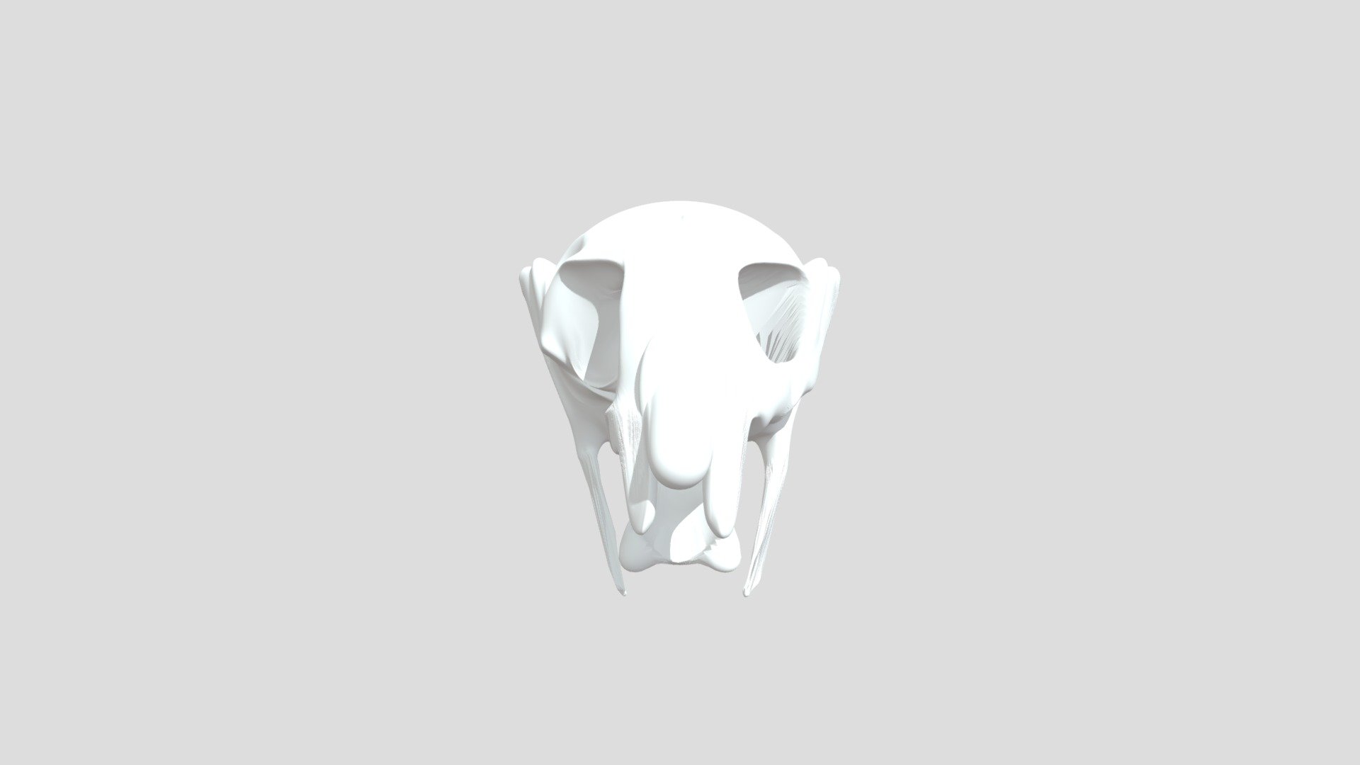 damaged cow skull