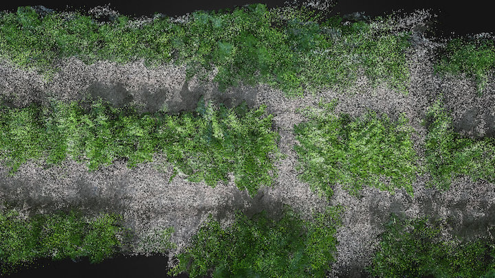 Sugar beet field 7 weeks after plant emergence 3D Model