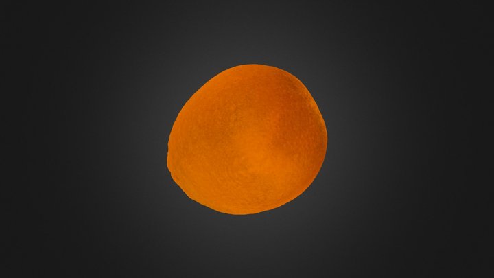 Orange 3D Model