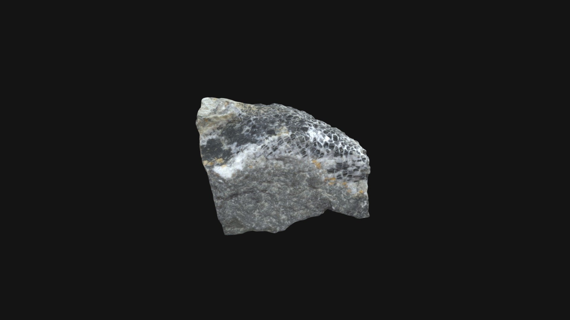 Specimen D — Sketchfab embed 3D viewer
