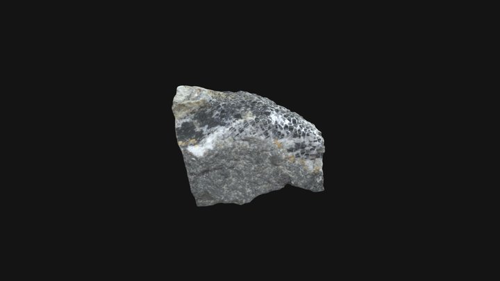Specimen D 3D Model