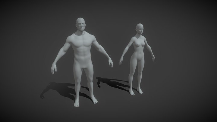 Male and Female Body Base Mesh 3D Model 20k Poly 3D Model