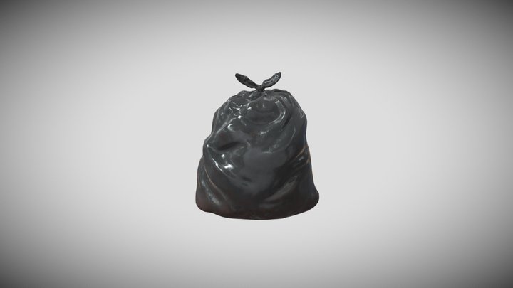 Quick Low Poly Bin Bag 3D Model