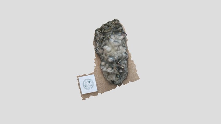 Quarzo con calcopirite 3D Model