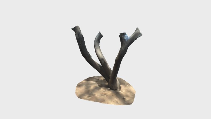 Arbol 3D Model