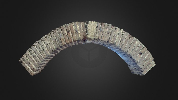 Arco primitivo (C5-C6) 3D Model