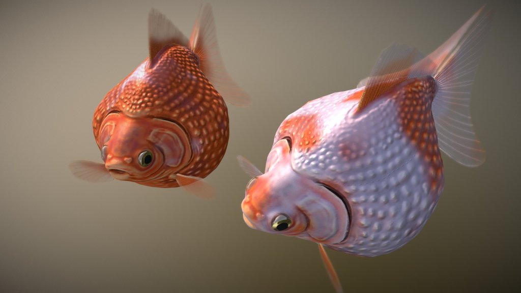 Pearlscale goldfish