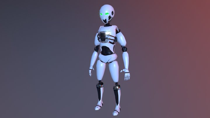 Robo 3D Model