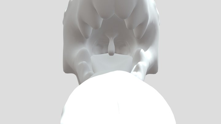 Dragon Maw 3D Model