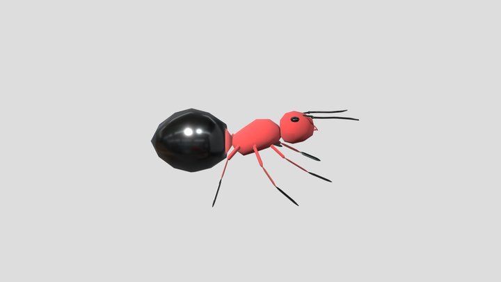 Ant 3D Model