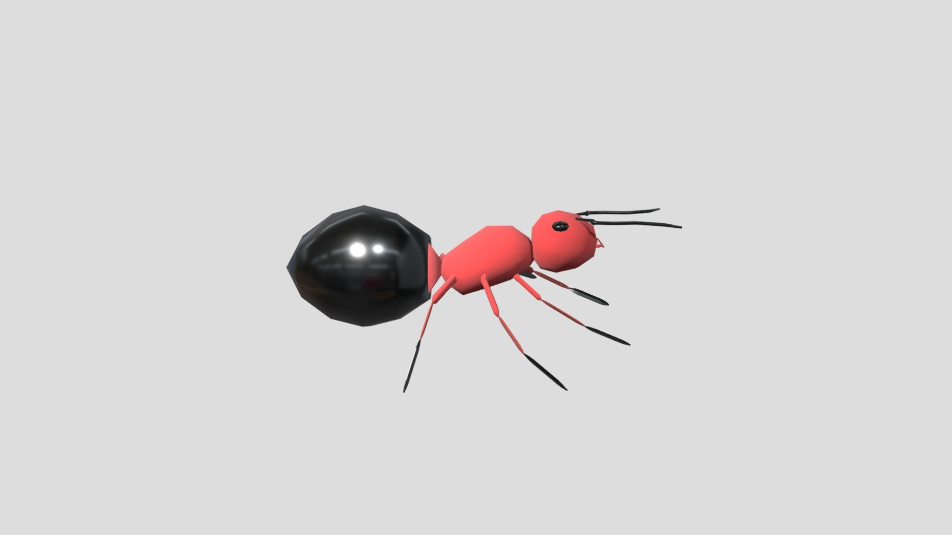 Ant