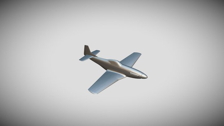P51 Mustang Fighter