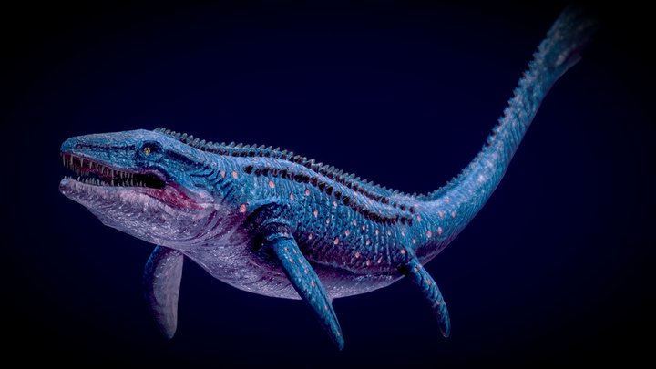 Low poly Realistic Dinosaur - Mosasaur 3D Model