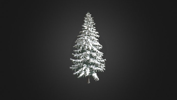 Spruce Tree with Snow 3D Model 7.8m 3D Model