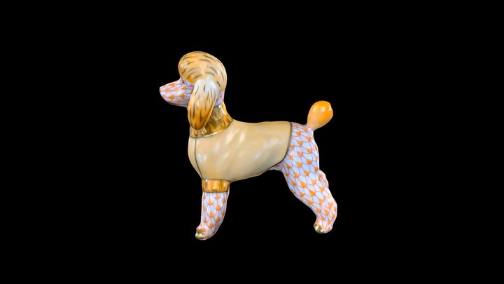Toy poodle - 16266000VH3 3D Model