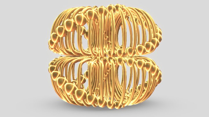 Double torus 3D Model